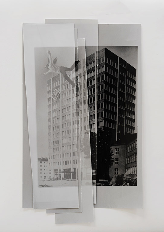 iris janke fotografie photography nothing escapes agfa project