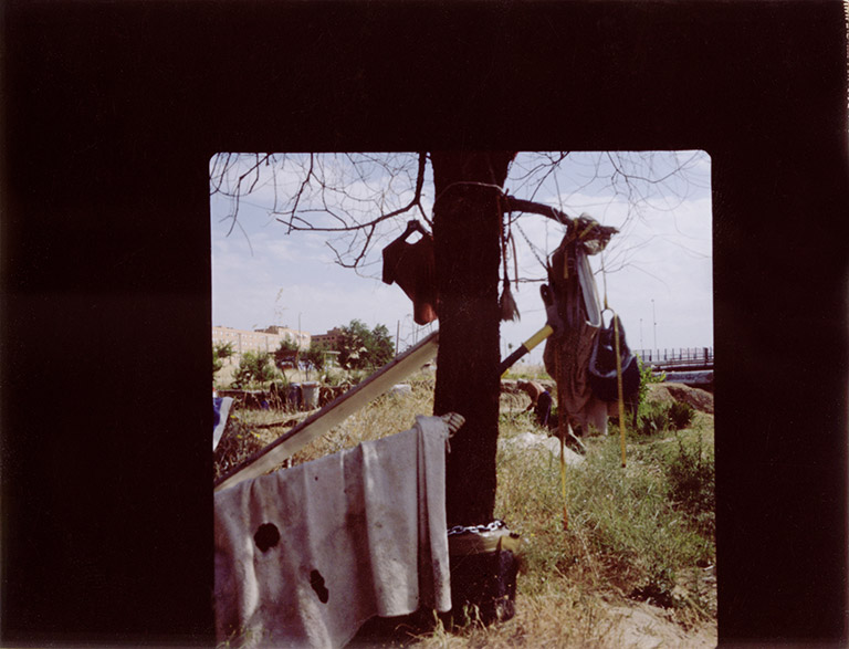 iris janke fotografie photography garden