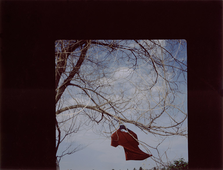 iris janke fotografie photography garden