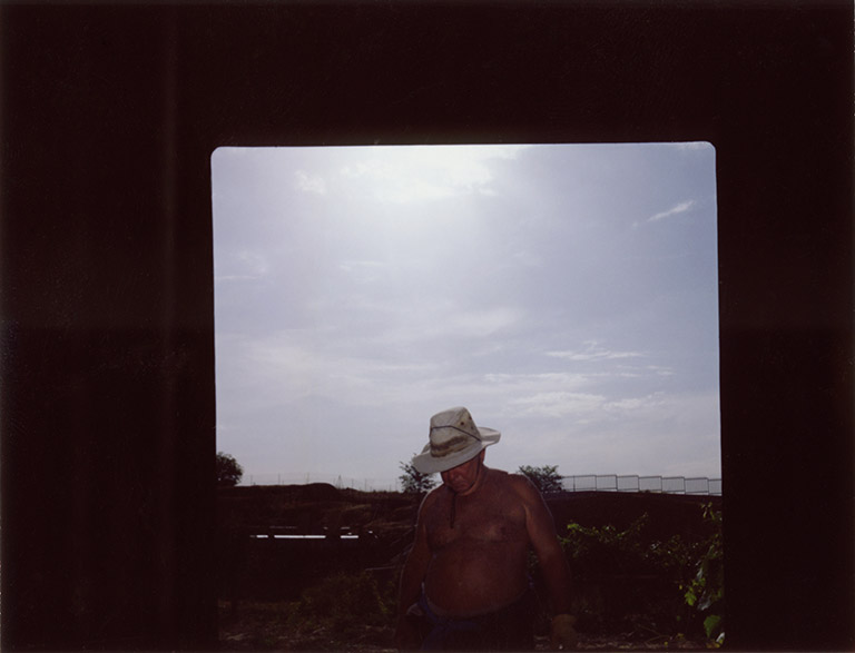 iris janke fotografie photography garden