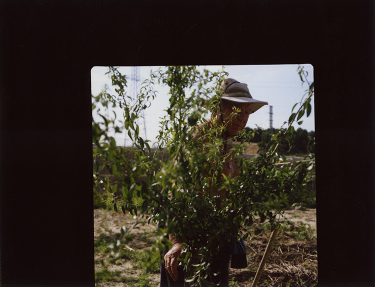 iris janke fotografie photography garden