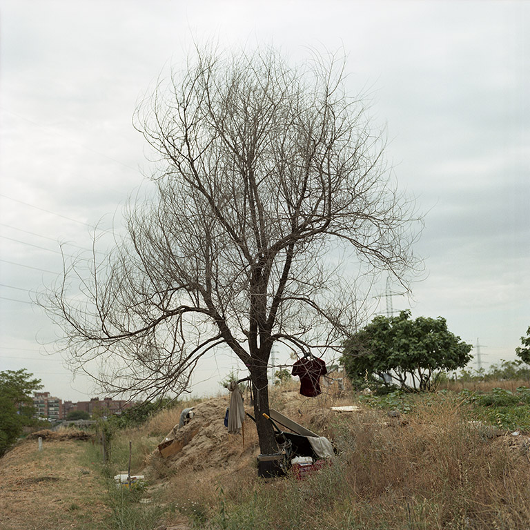 iris janke fotografie photography garden