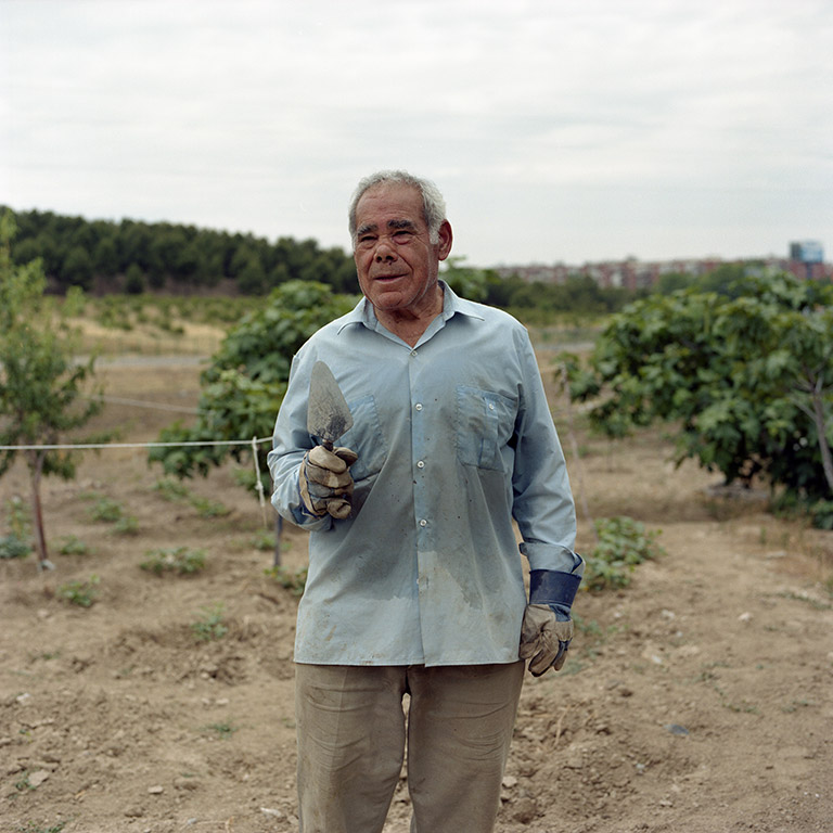 iris janke fotografie photography garden