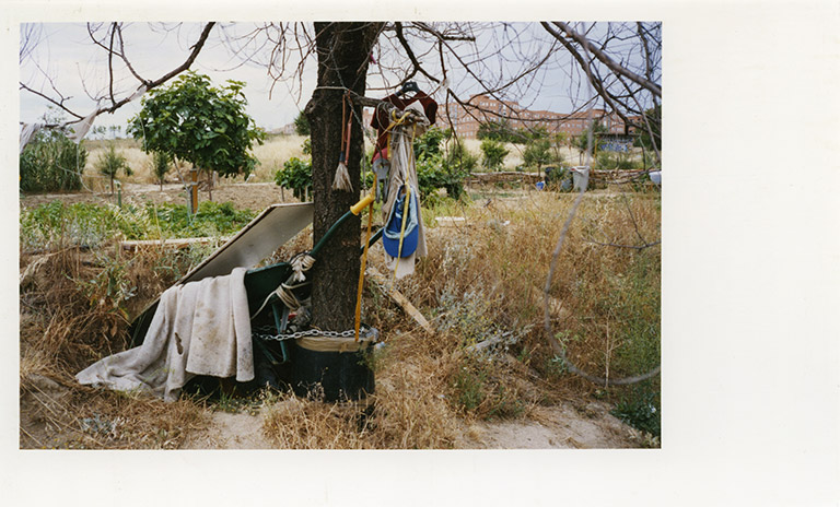 iris janke fotografie photography garden