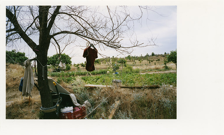 iris janke fotografie photography garden
