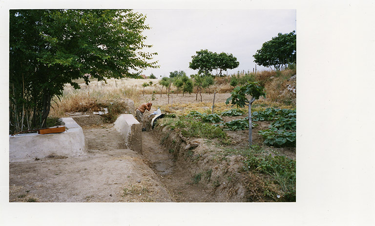 iris janke fotografie photography garden