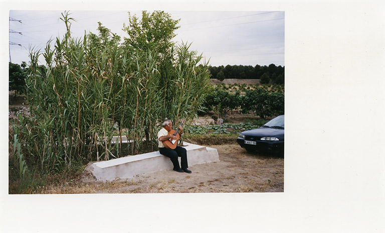 iris janke fotografie photography garden