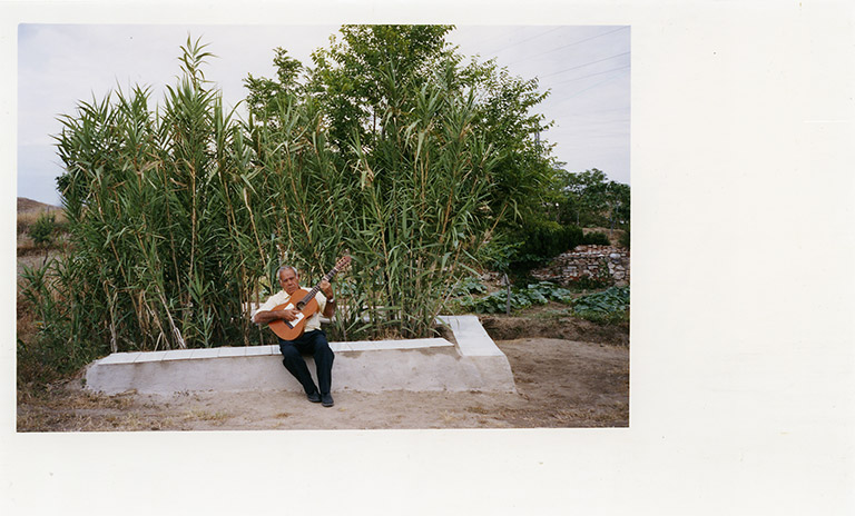 iris janke fotografie photography garden