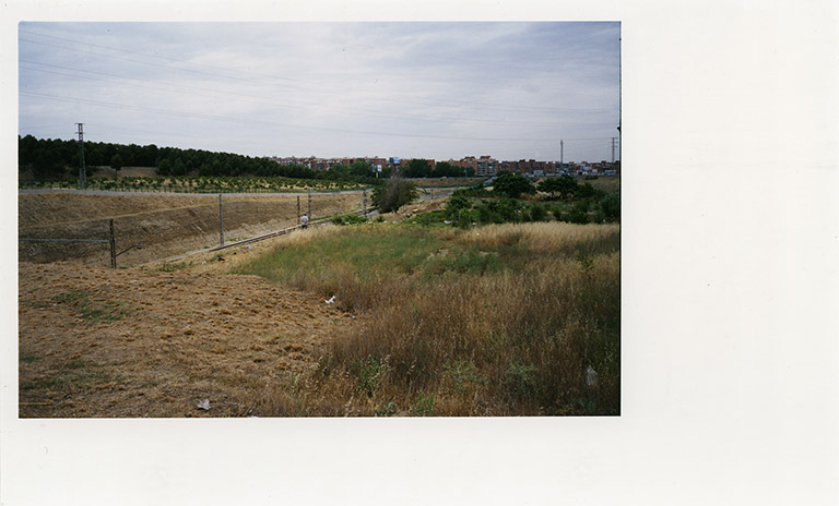 iris janke fotografie photography garden