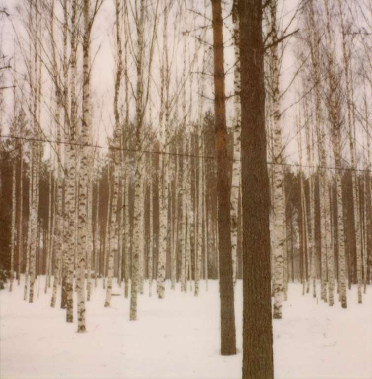 iris janke fotografie photography on the lakeshore