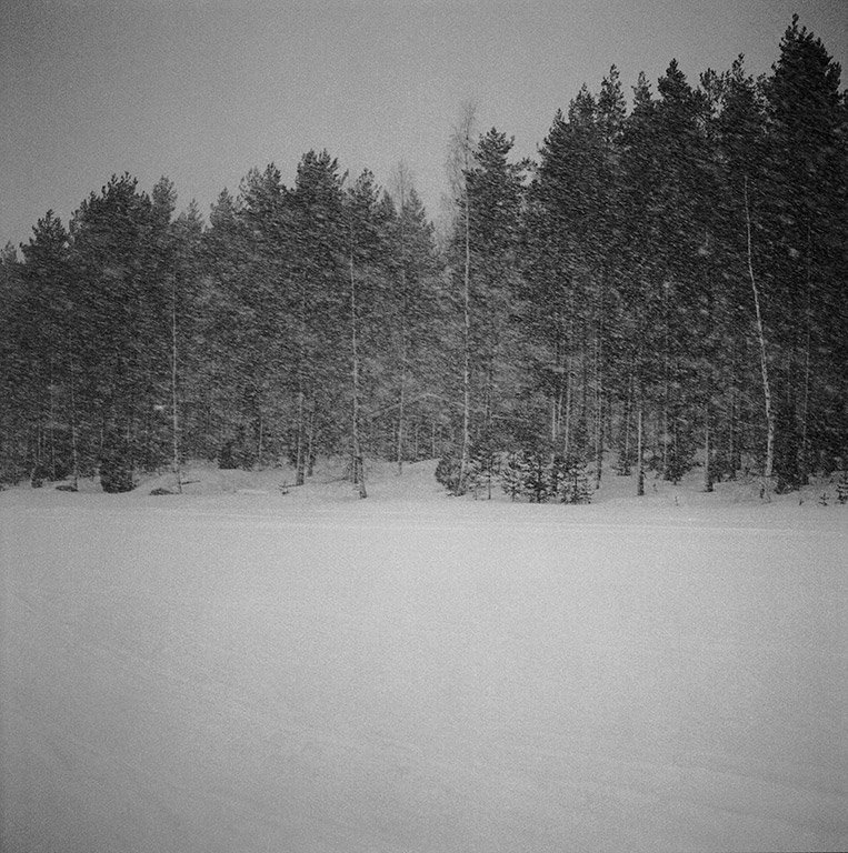 iris janke fotografie photography on the lakeshore